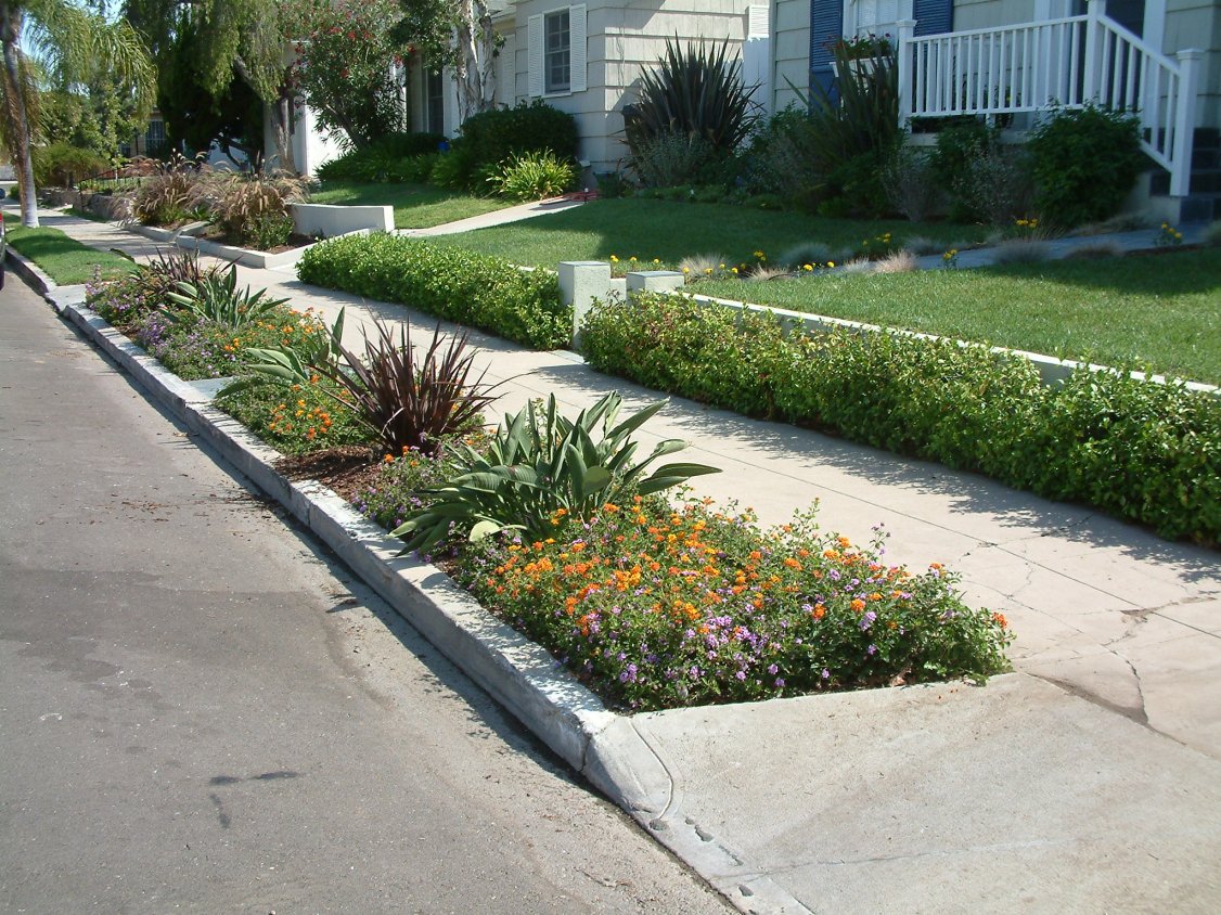 gardens-featuring-phormium-amazing-red
