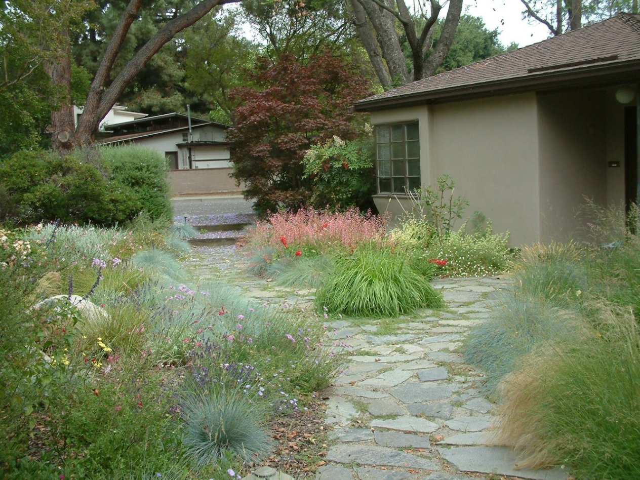 Gardens Featuring "Westringia 'Wynyabbie Gem'"