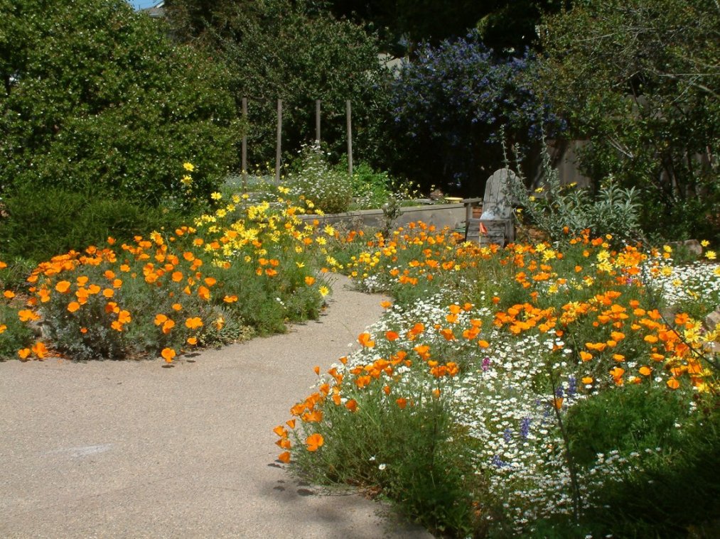 Mini Explosion Of Color Designed By Dave Buchanan