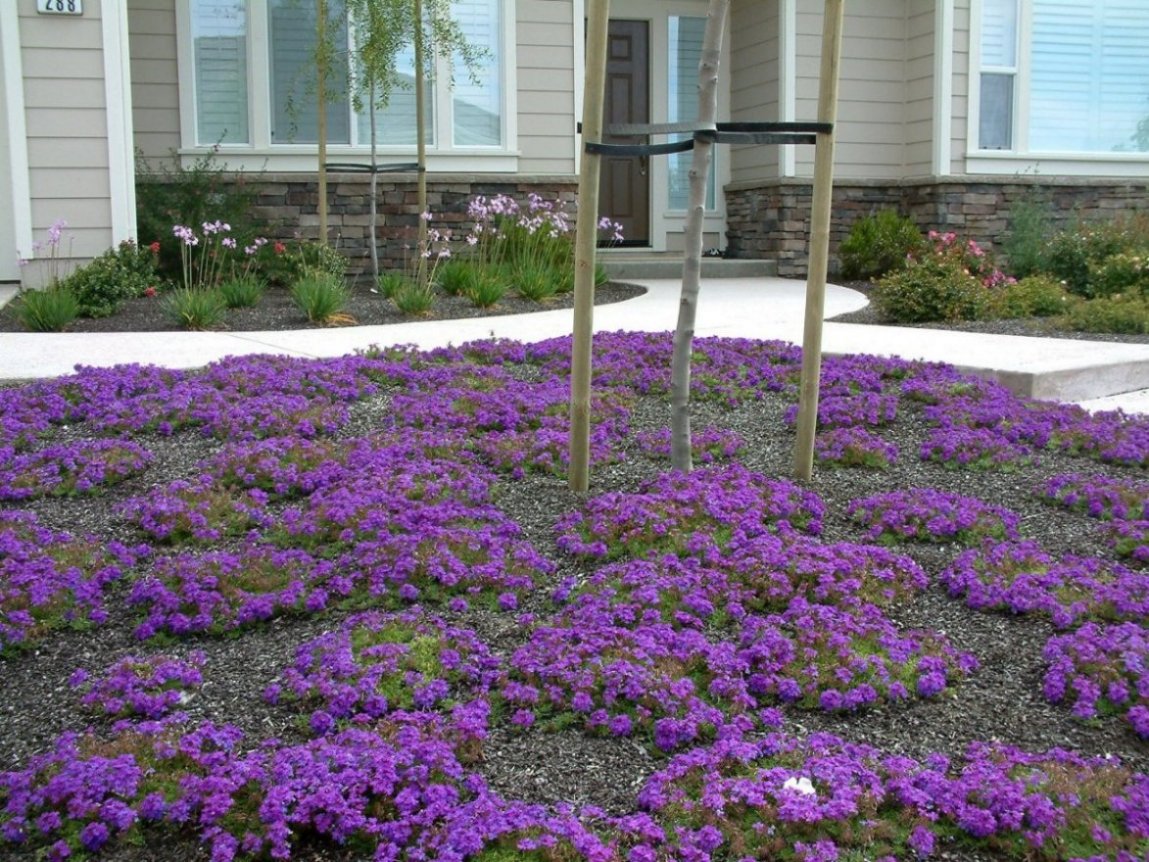 Plant Baskets Design
