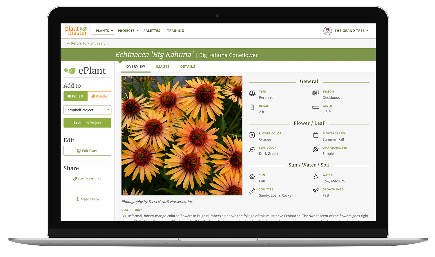 Echinacea ePlant page